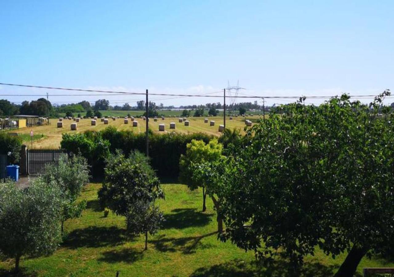 Eco House San Michele Hostel Borgo San Michele  Buitenkant foto